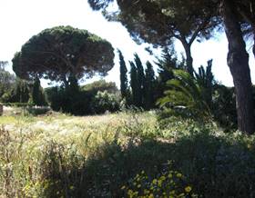 rustic property sale vejer de la frontera la muela by 240,000 eur