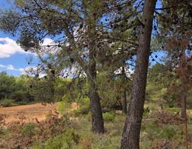 houses for sale in alqueria de aznar