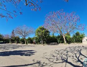 lands for sale in murcia province