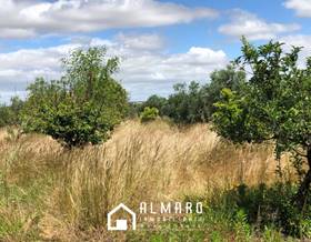 lands for sale in rociana del condado