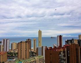 apartments for sale in benidorm