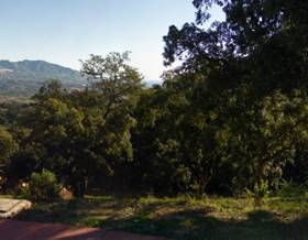 lands for sale in nueva andalucia