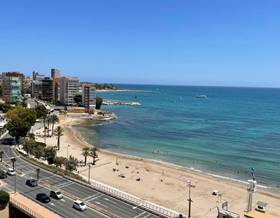 apartments for sale in el altet