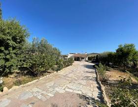 villas for sale in aspe