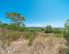 lands for sale in balearic islands