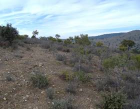 land sale madrid navas del rey by 18,000 eur