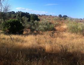 land sale madrid navas del rey by 126,000 eur