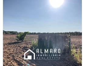 lands for sale in hinojos