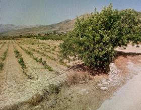 lands for sale in beniarbeig