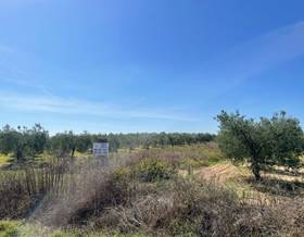 rustic property sale bollullos par del condado bollullos par del condado by 11,000 eur