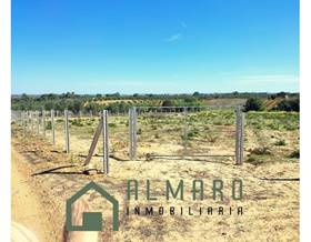 land sale huelva almonte by 29,000 eur