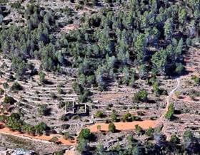 apartments for sale in las ramblas