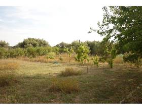 rustic property sale mont roig del camp nucli urbà by 78,000 eur