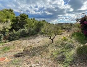 lands for sale in beniarbeig