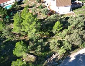 land sale orba by 65,000 eur