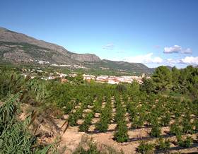 lands for sale in pego