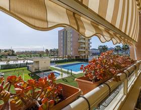apartments for rent in torre del mar