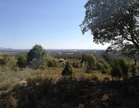 land sale madrid navas del rey by 33,000 eur