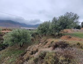 lands for sale in fondon