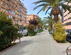 lands for sale in pedreguer