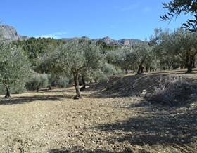 lands for sale in la nucia