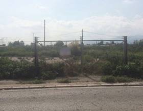 lands for sale in corbera