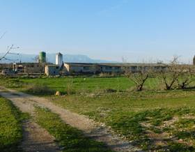 lands for sale in alcanar