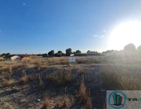 lands for sale in alguazas