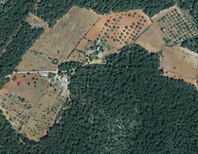 lands for sale in santa gertrudis de fruitera