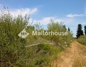 land sale muro centro by 75,000 eur