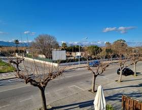 lands for sale in can picafort