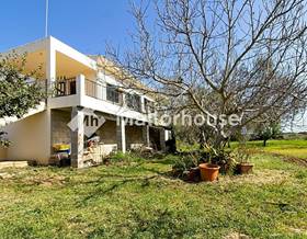 lands for sale in selva