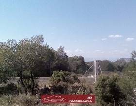 lands for sale in albalat dels tarongers