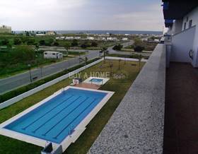 apartment rent torre del mar by 700 eur