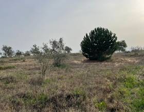 lands for sale in villalba del alcor
