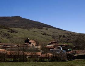 houses for sale in barruelo de santullan