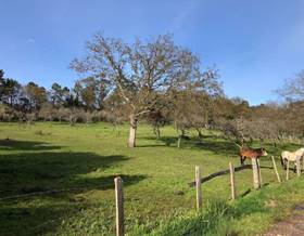 land sale llanera by 100,000 eur