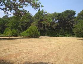 land sale denia torrecarrals by 318,000 eur