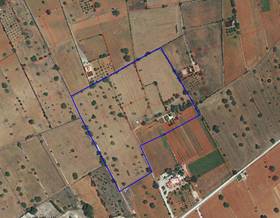 lands for sale in sant mateu d´albarca