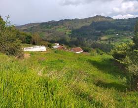 land sale candamo fenolleda by 20,000 eur