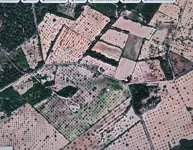 land sale islas baleares resto provincia by 24,900 eur