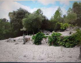 villas for sale in sencelles