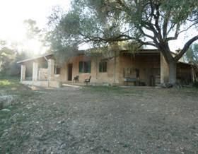 lands for sale in santa maria del cami