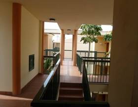 apartments for sale in arenal
