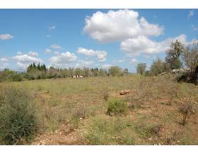 lands for sale in sa pobla