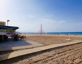 lands for sale in pedreguer