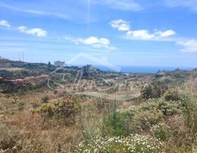 lands for sale in san miguel de abona