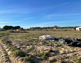 lands for sale in rociana del condado