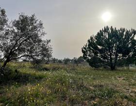lands for sale in villalba del alcor