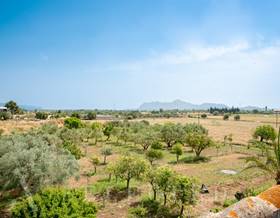 land sale alcudia by 1,900,000 eur